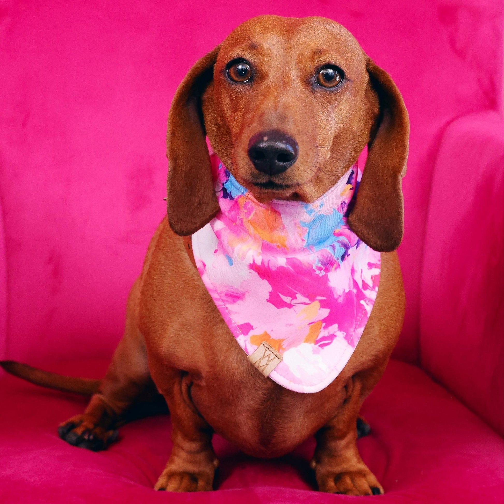 Paint Me Wild Bandanna