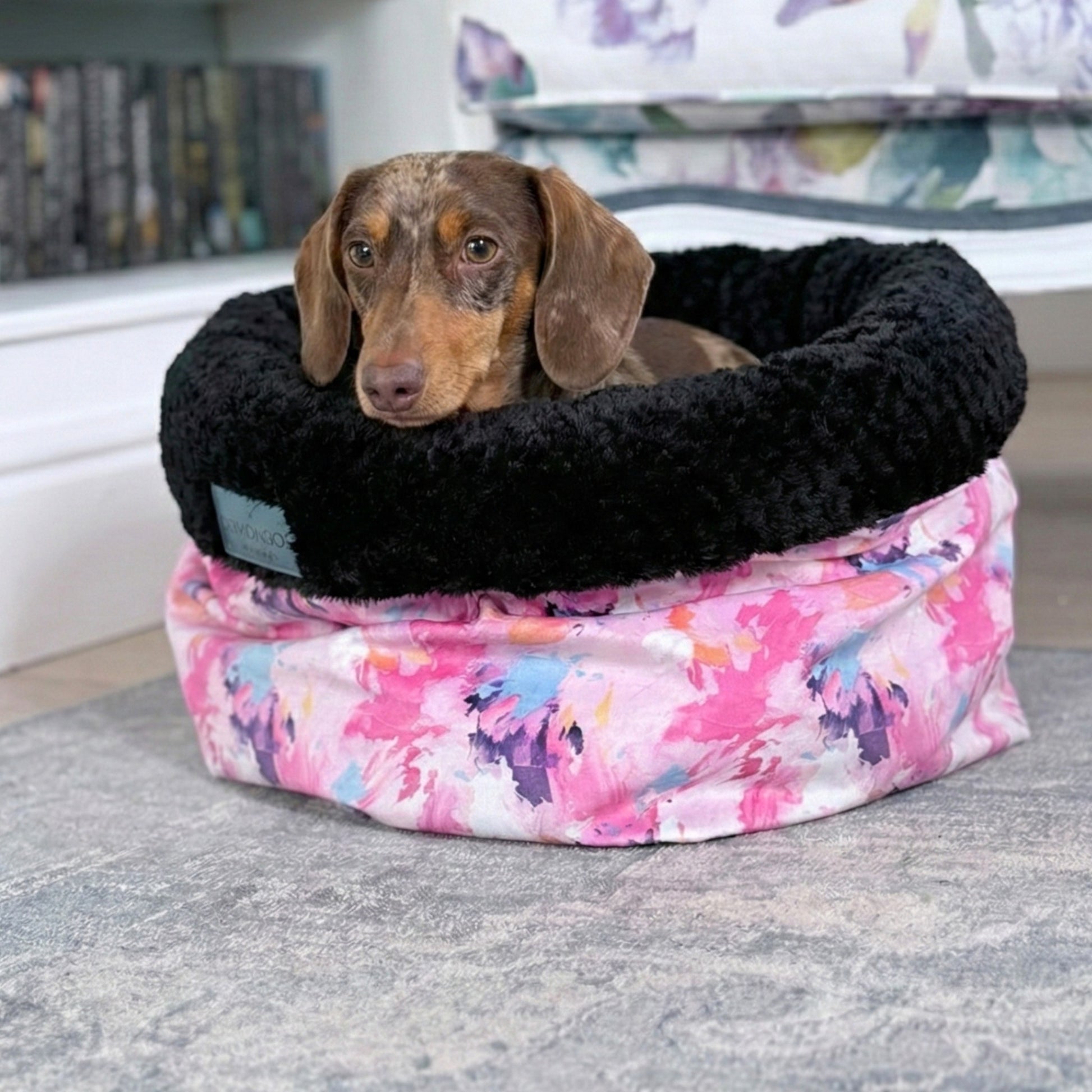 Paint Me Wild Pet Bed