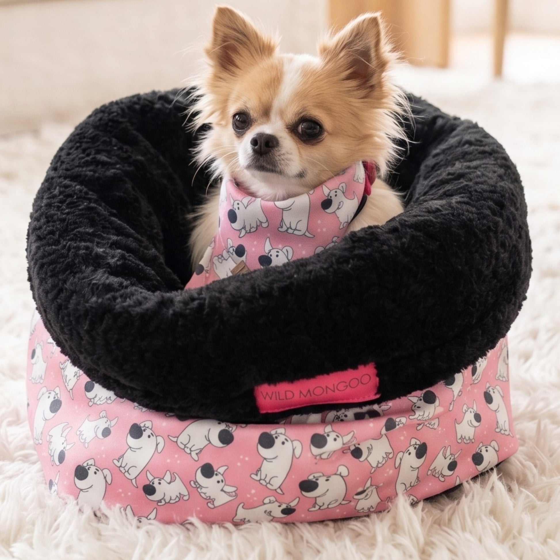 Toon Tails Pet Bed