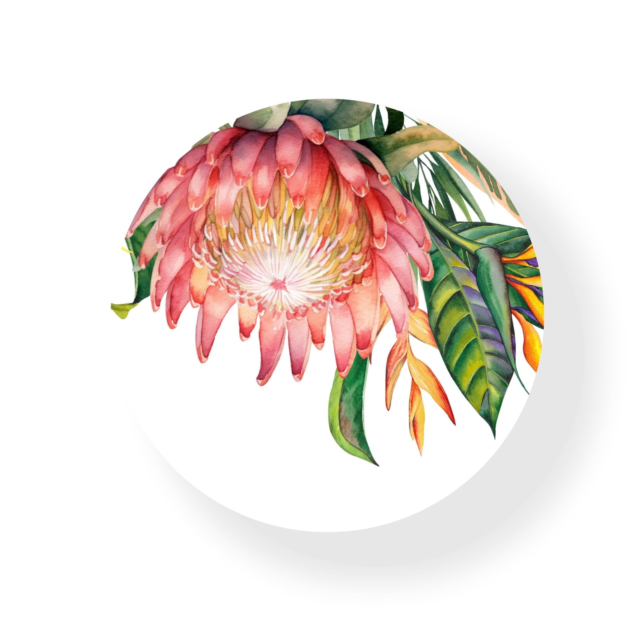 Protea Coaster
