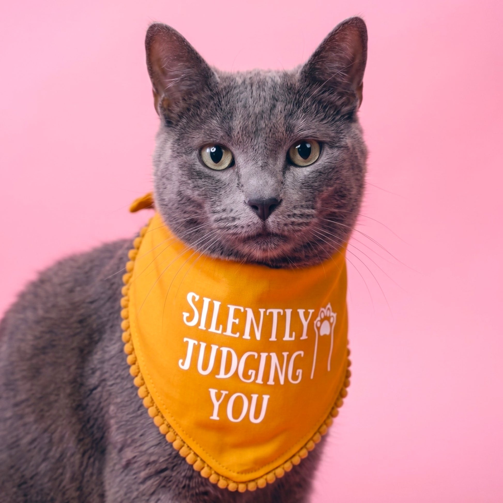Silently Judging You Cat Bandanna