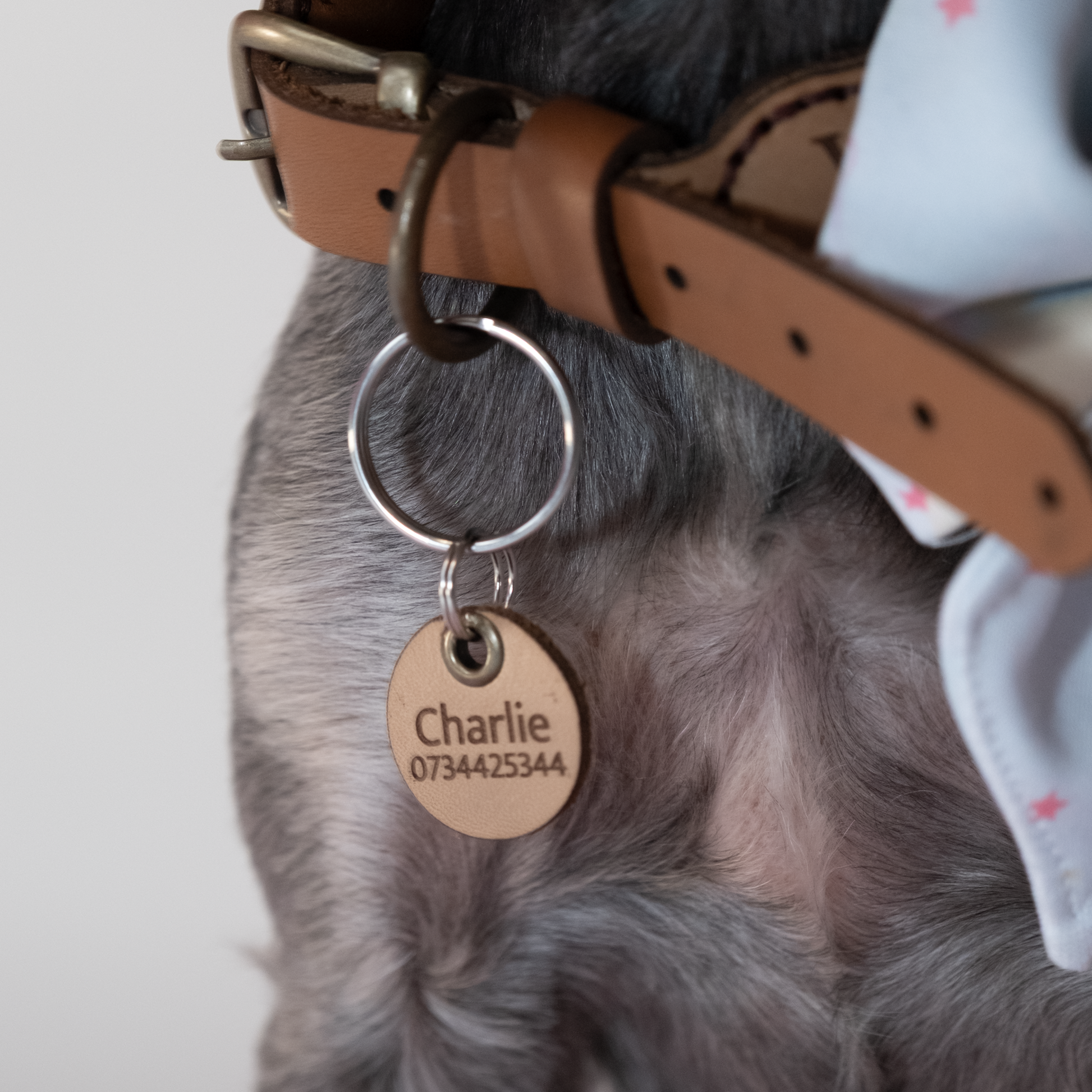 Leather ID Tag - Single