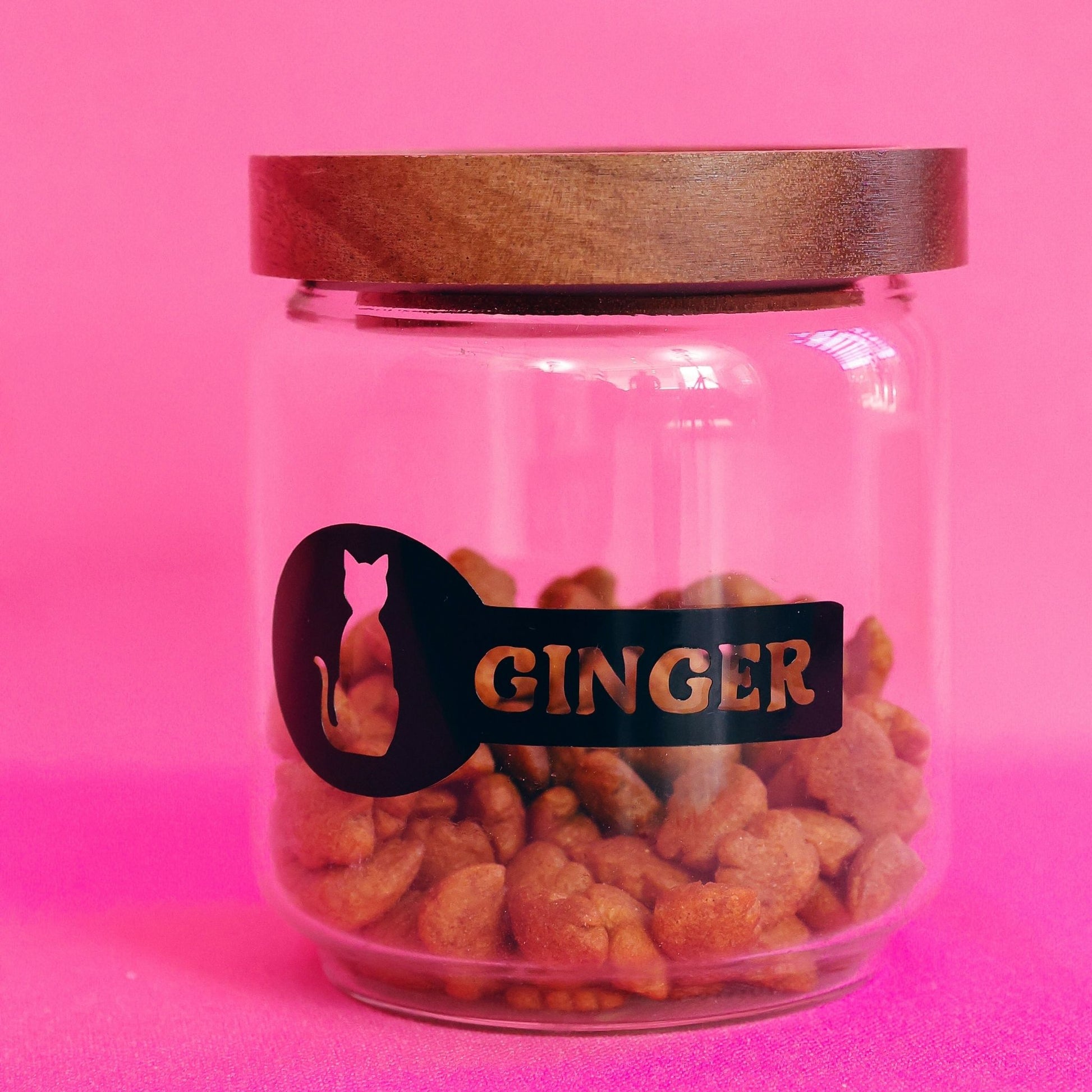 Pet Treat Jar