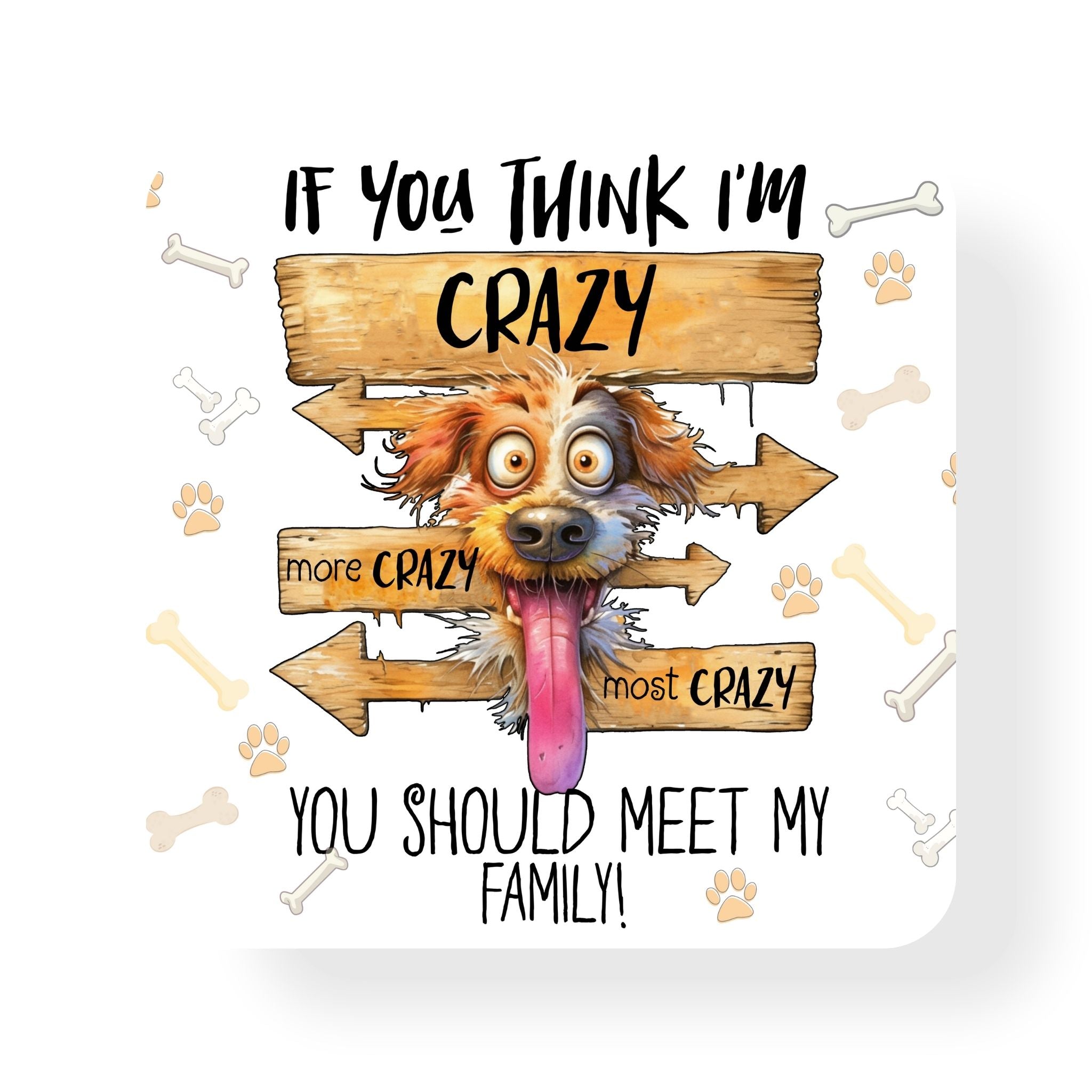 Crazy Family Coaster