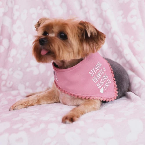 Stealing Hearts, Blasting Farts Bandanna