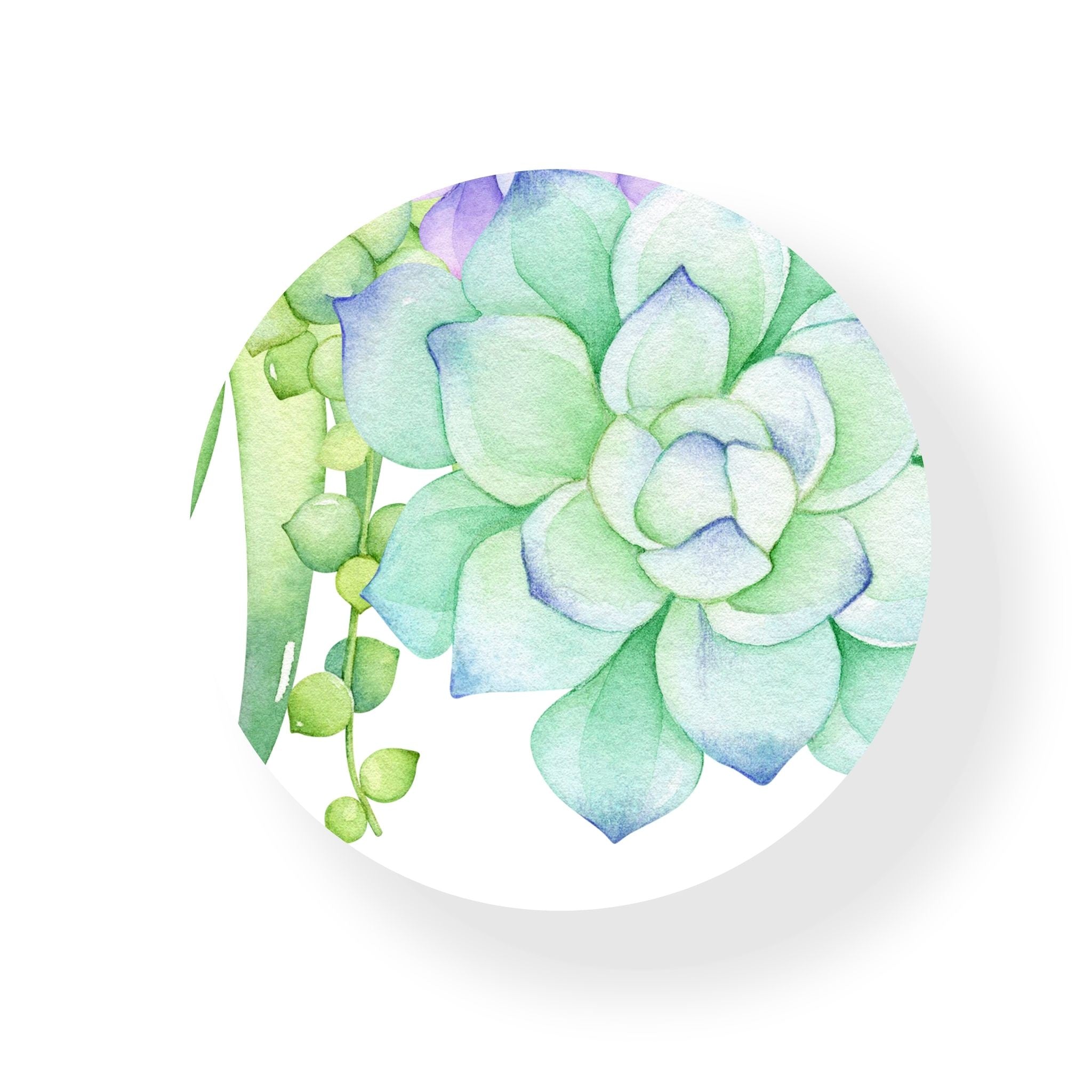 Succulent Coaster
