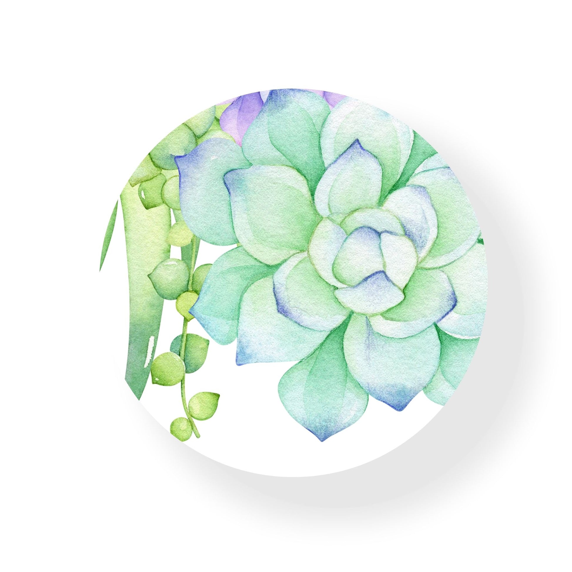 Succulent Coaster
