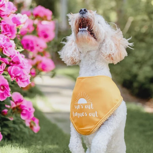 Sun's Out, Tongue's Out Bandanna