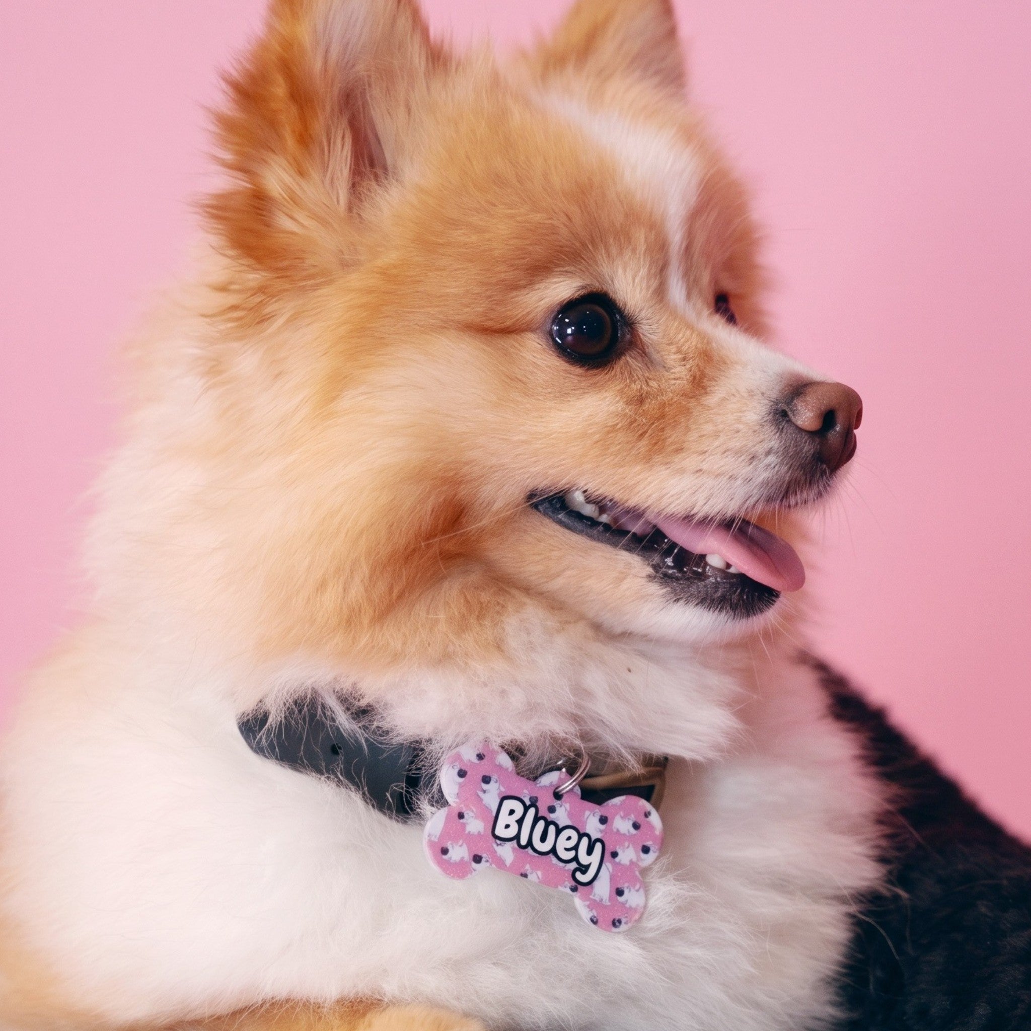 Toon Tail Pet Tag