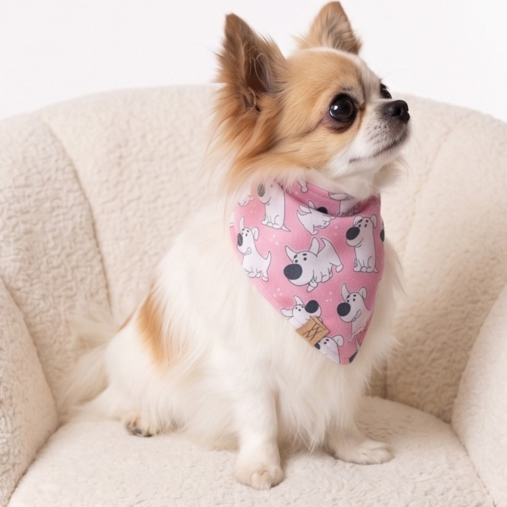 Toon Tails Bandanna