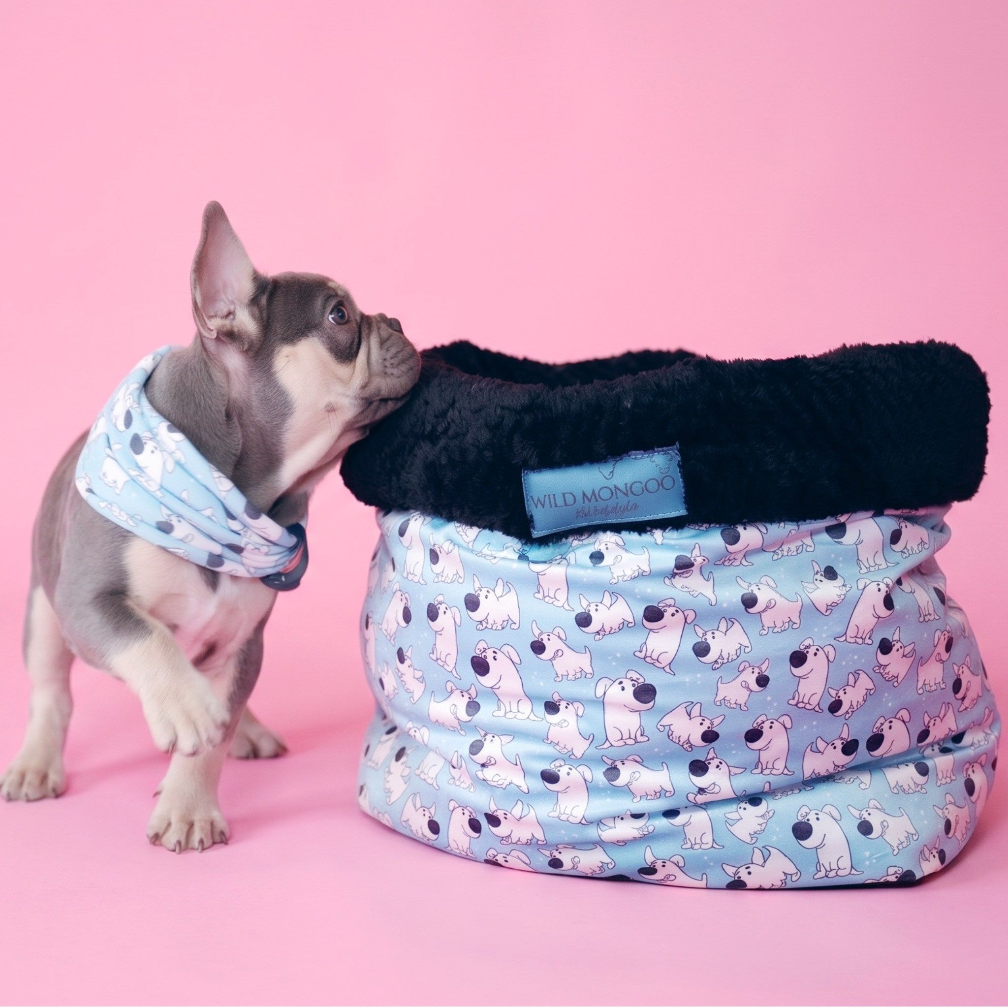 Toon Tails Pet Bed