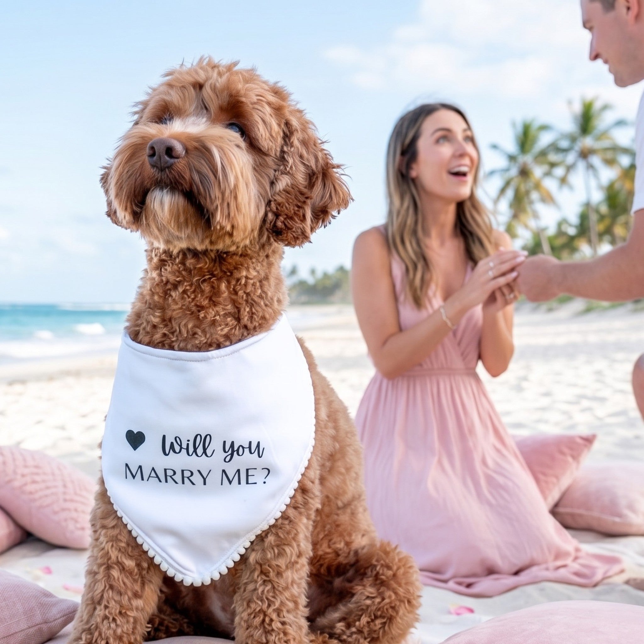 Will You Marry Me Bandanna