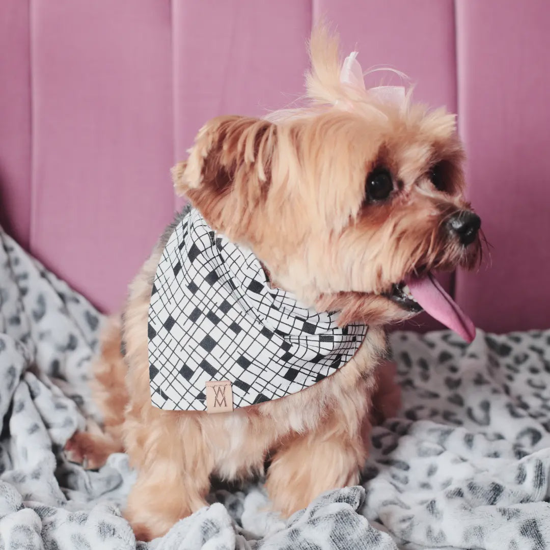 Woof and Tux Bandanna