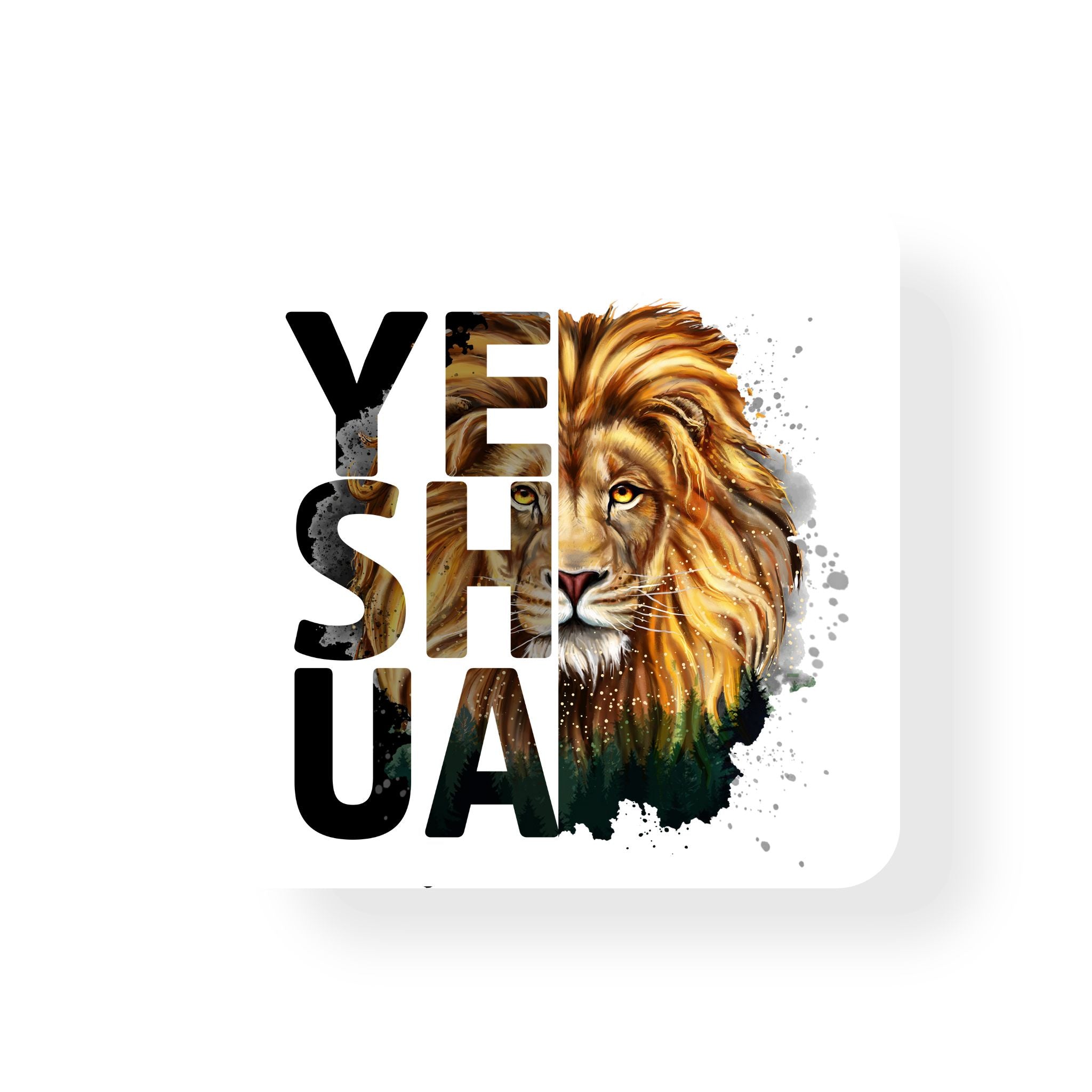 Yeshua Coaster