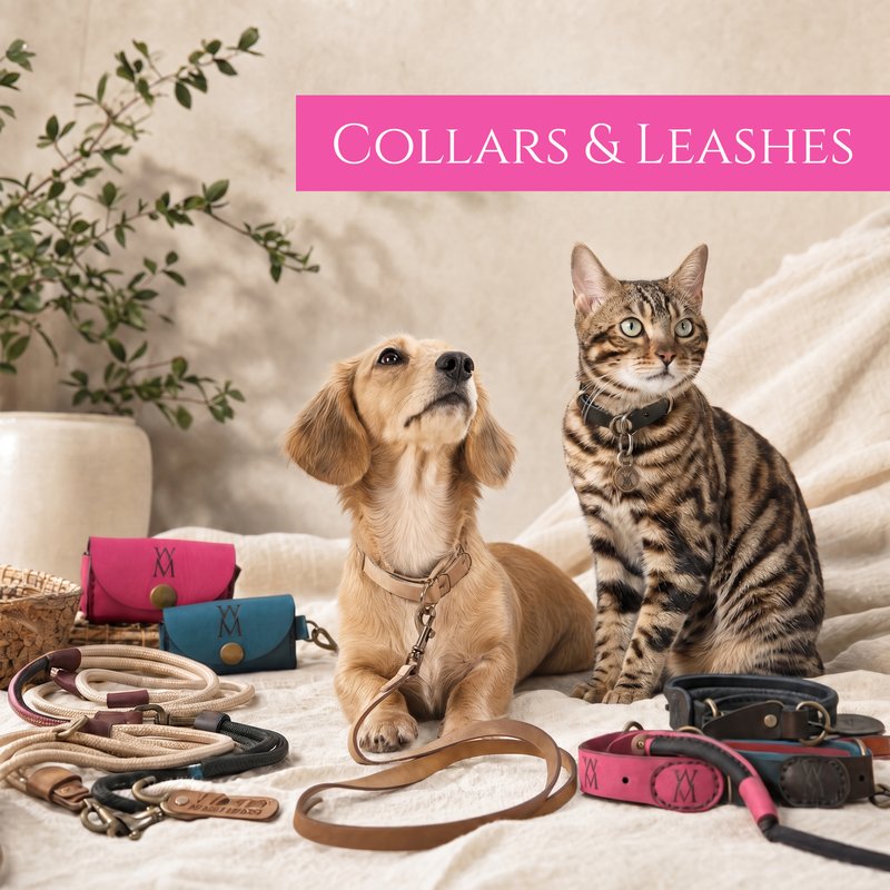 Collars and leashes - handmade leather collars and rope leashes for dogs and cats by Wild Mongoo